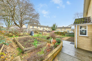 Front Garden- click for photo gallery